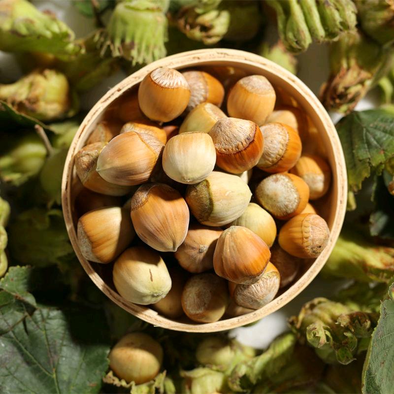 东北小李土特产