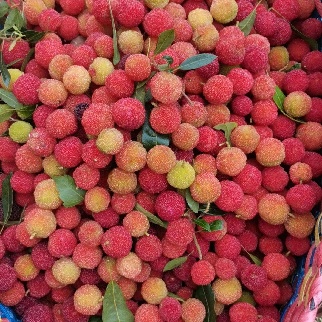 用户春暖花开