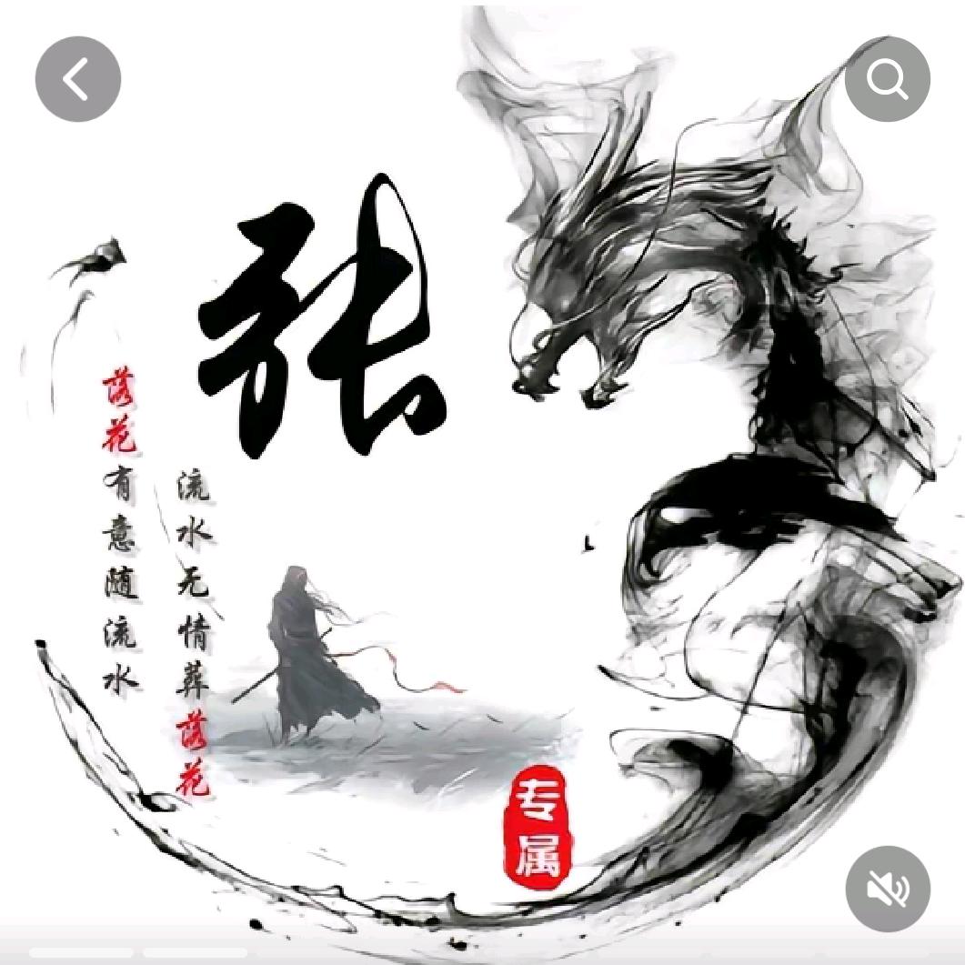 我姓张，我的拳头硬邦邦。