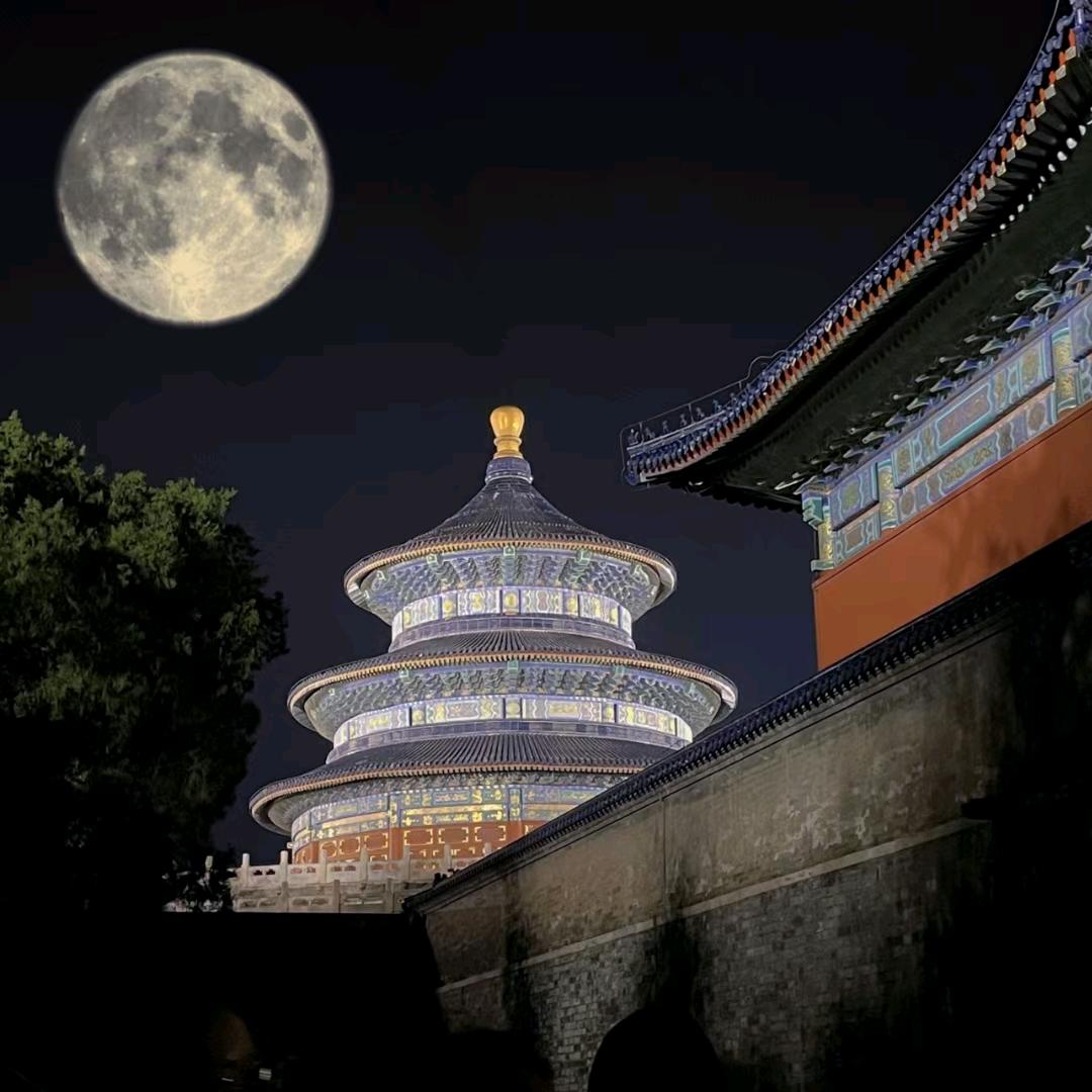 砖家