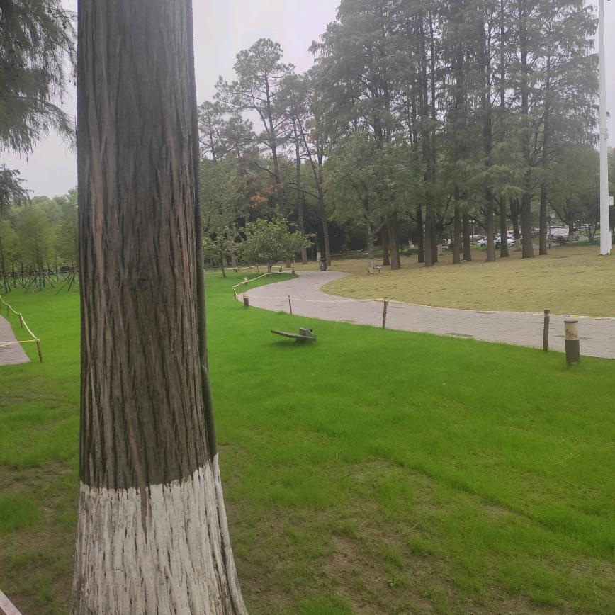 xpe和缠绕膜批零