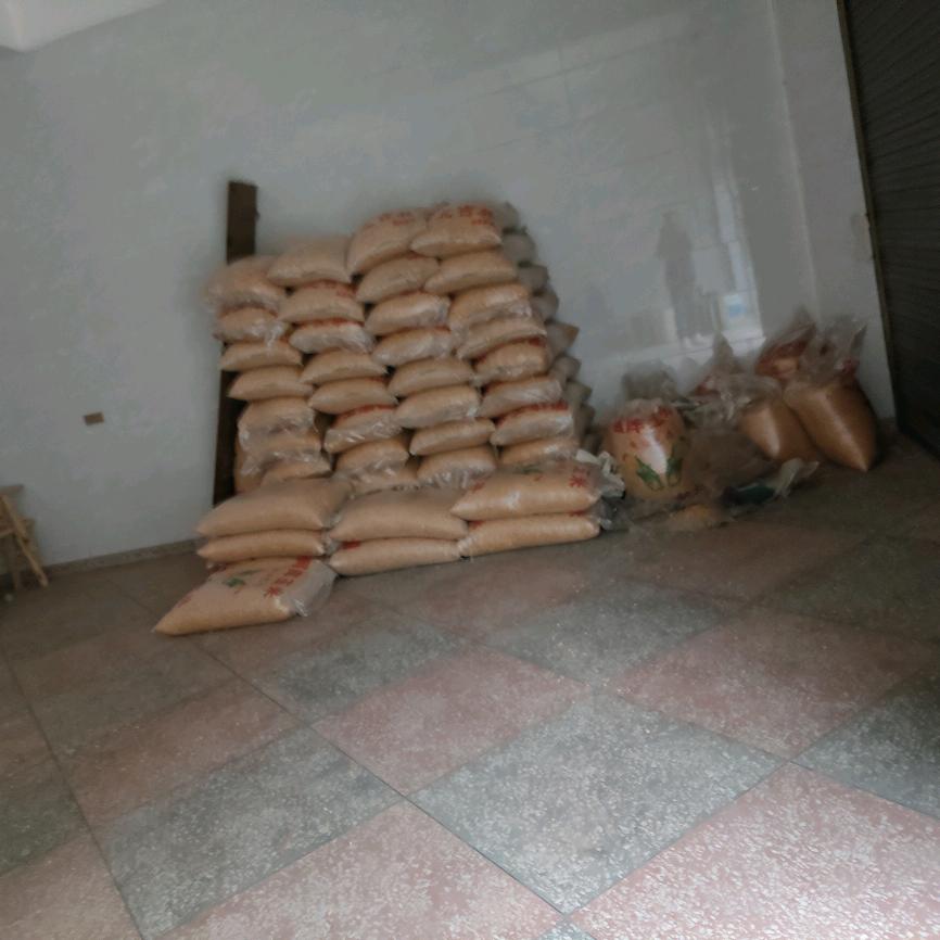 庙坝精英护农队