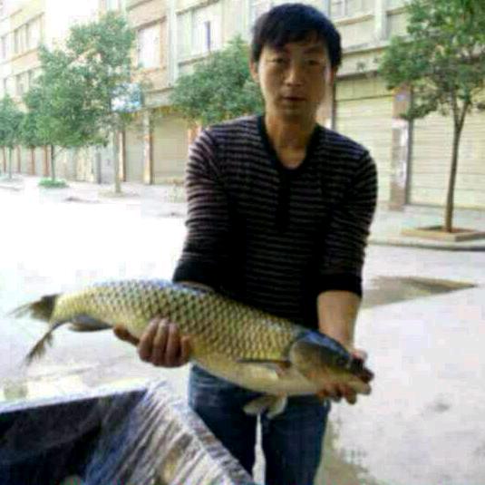 会飛的鱼