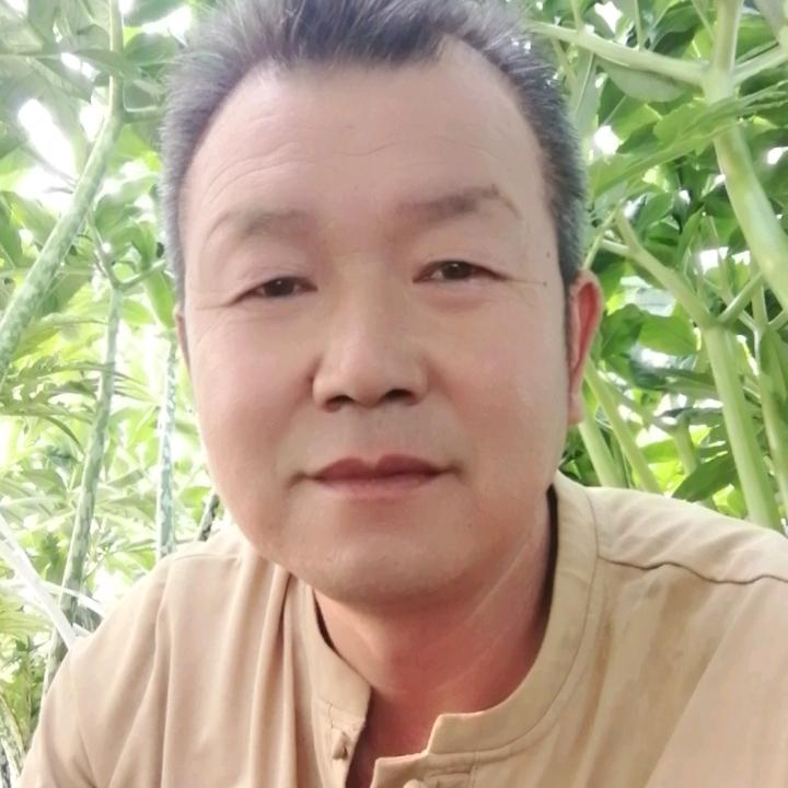 安康魔芋～王