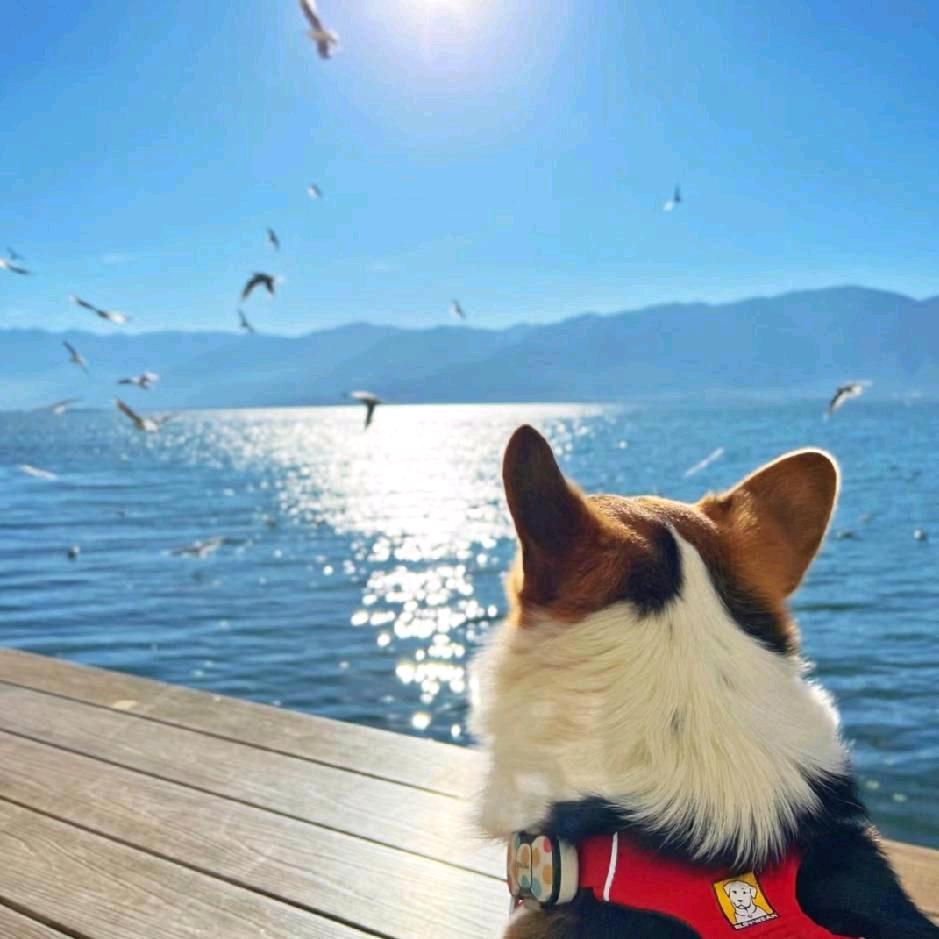 黄昏不尽时