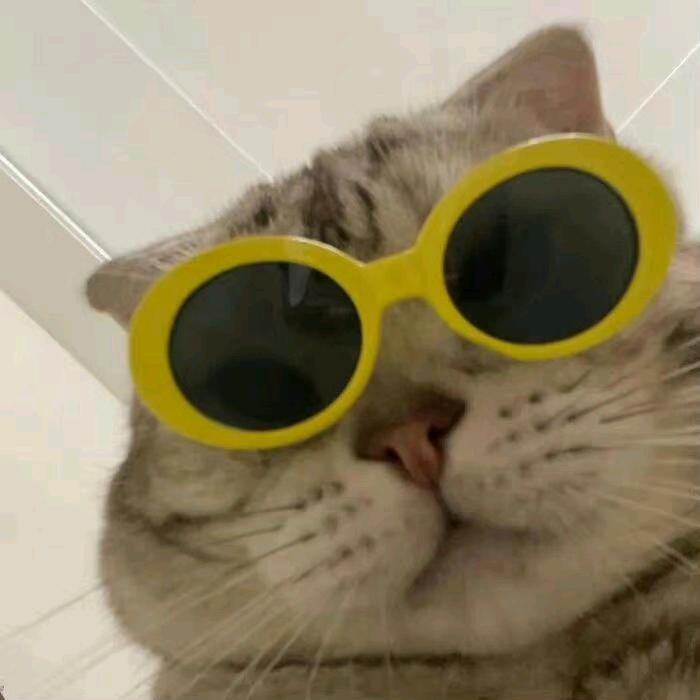 啊哦