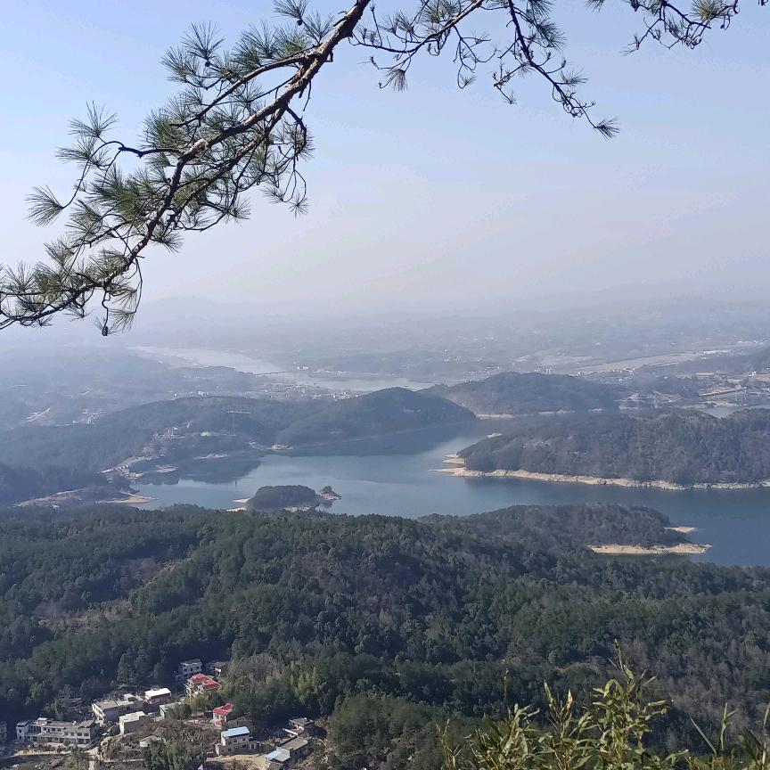 孙细花