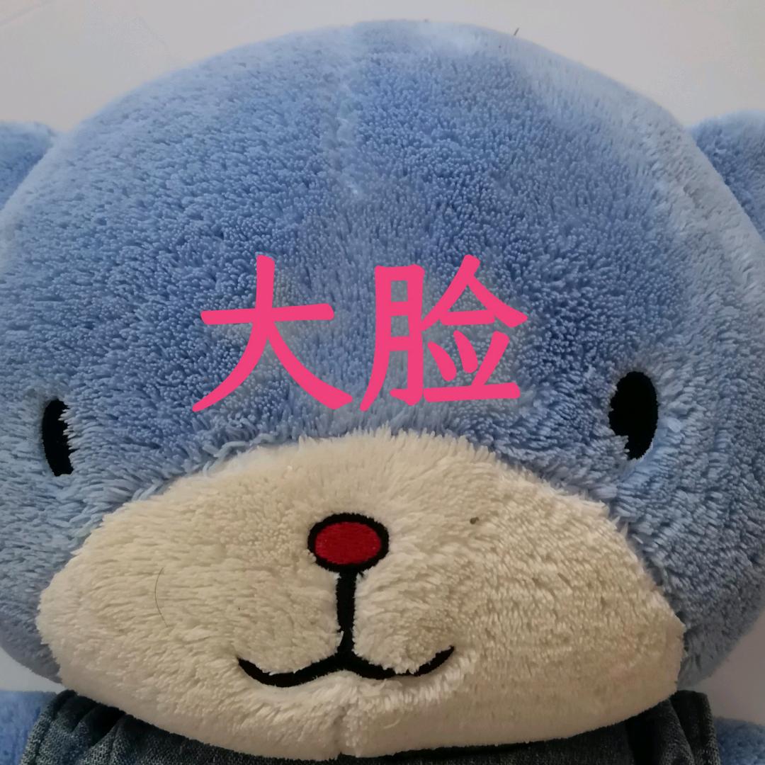 大脸