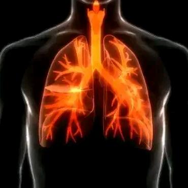 定为数智宠物生活小铺