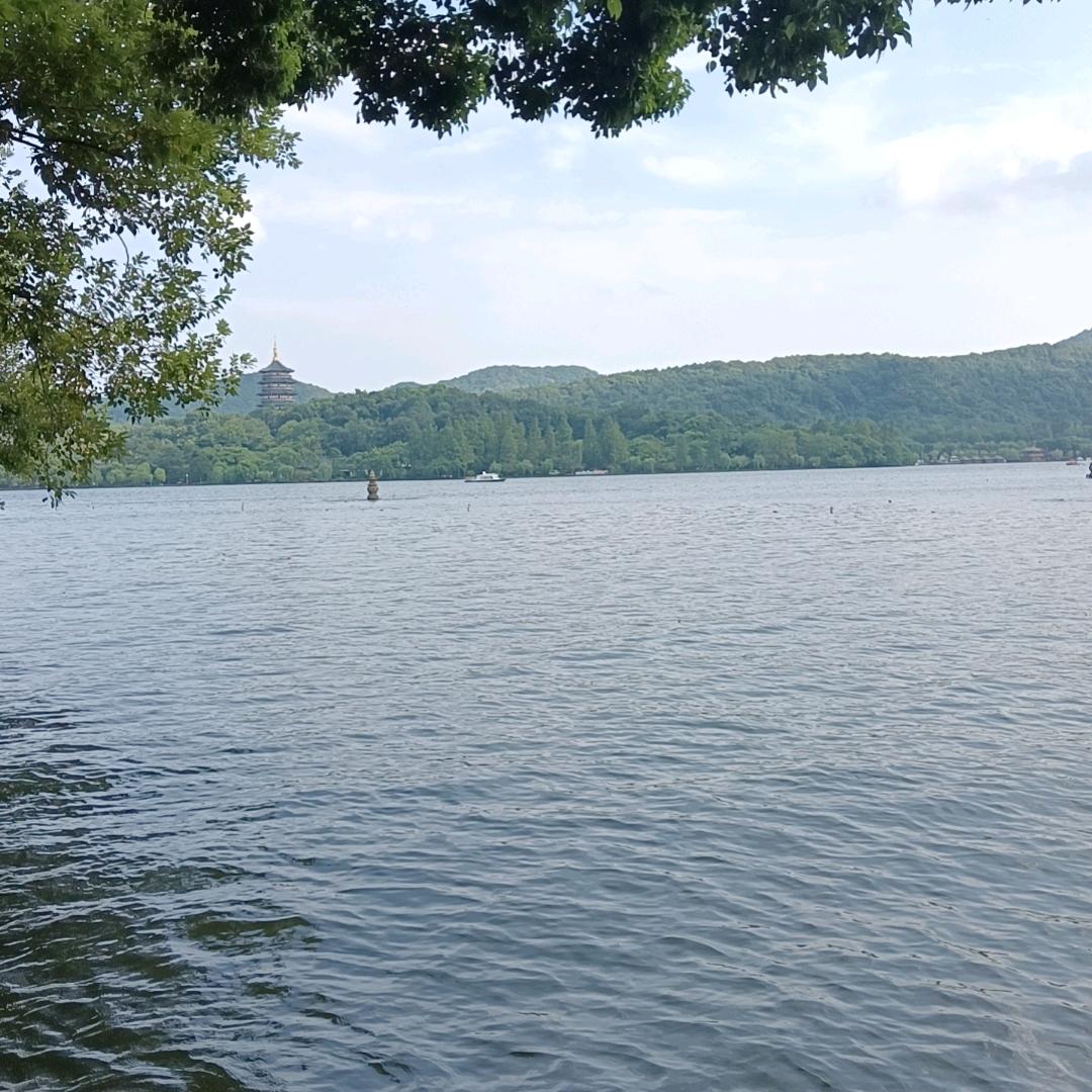 周春阳（盘螭）