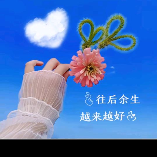 💞霸道ξ独💞宠