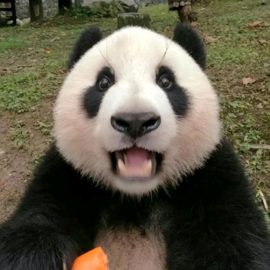 十三香