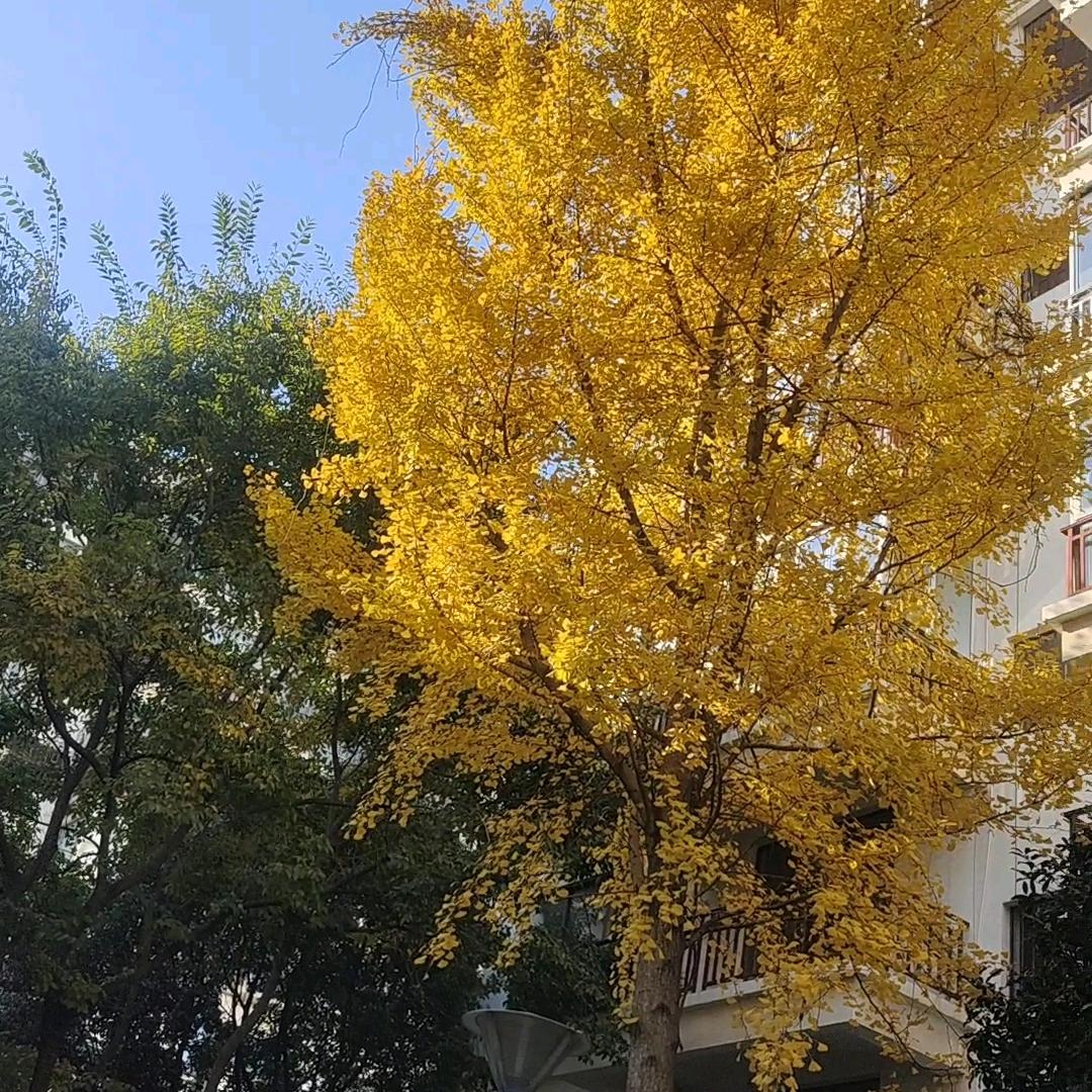 幸福每一天