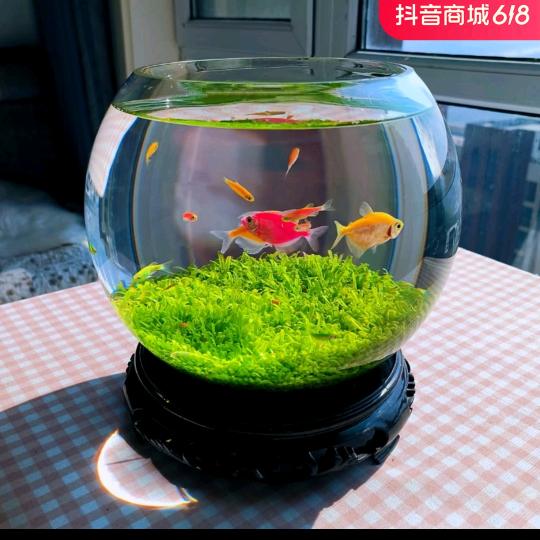 小卫