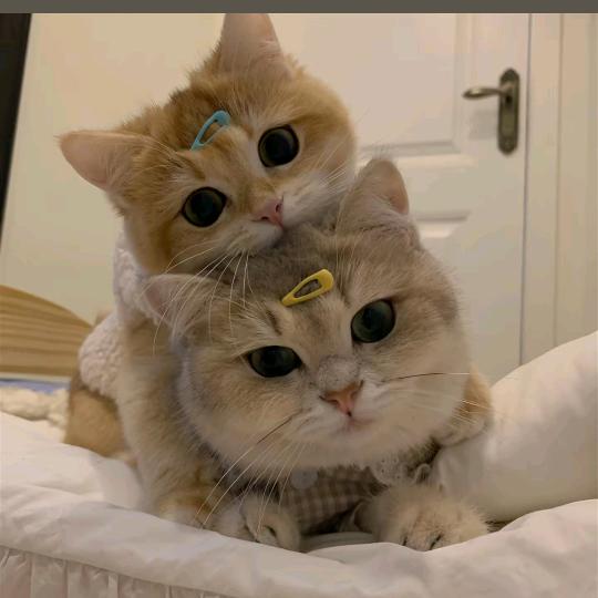 @এ᭄ོོ财神的宠儿໑ຼₒ₂5