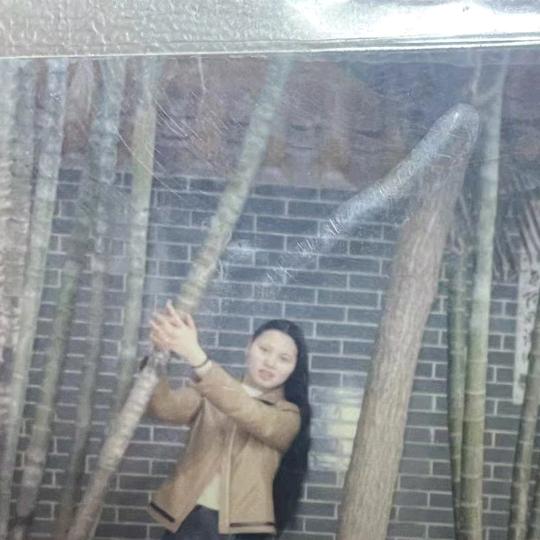 樱桃小丸子，不私聊