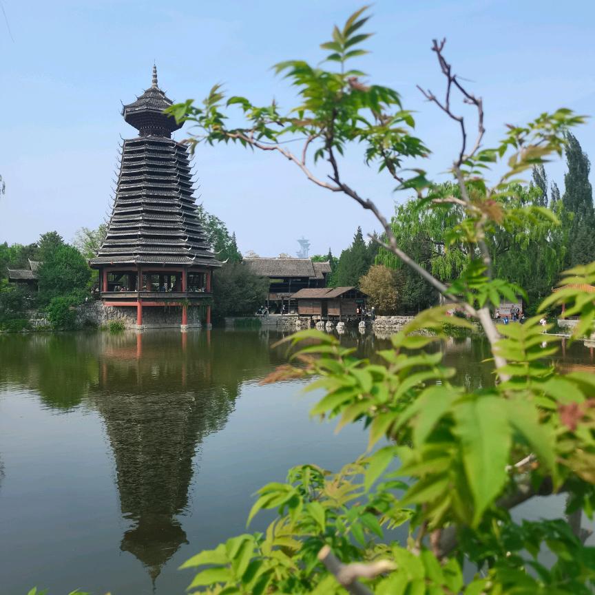 宁乐说道理