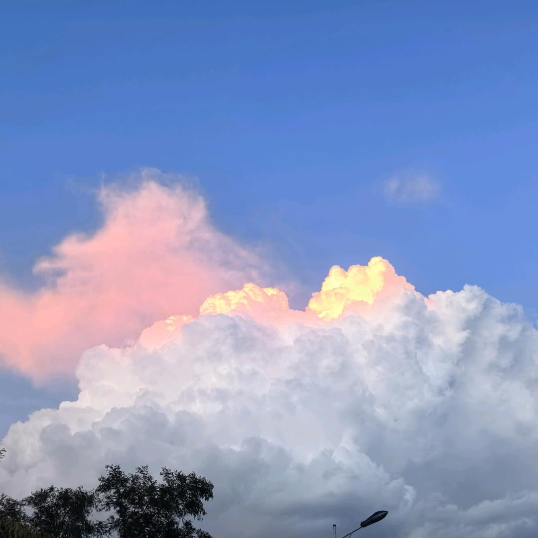 星心小w