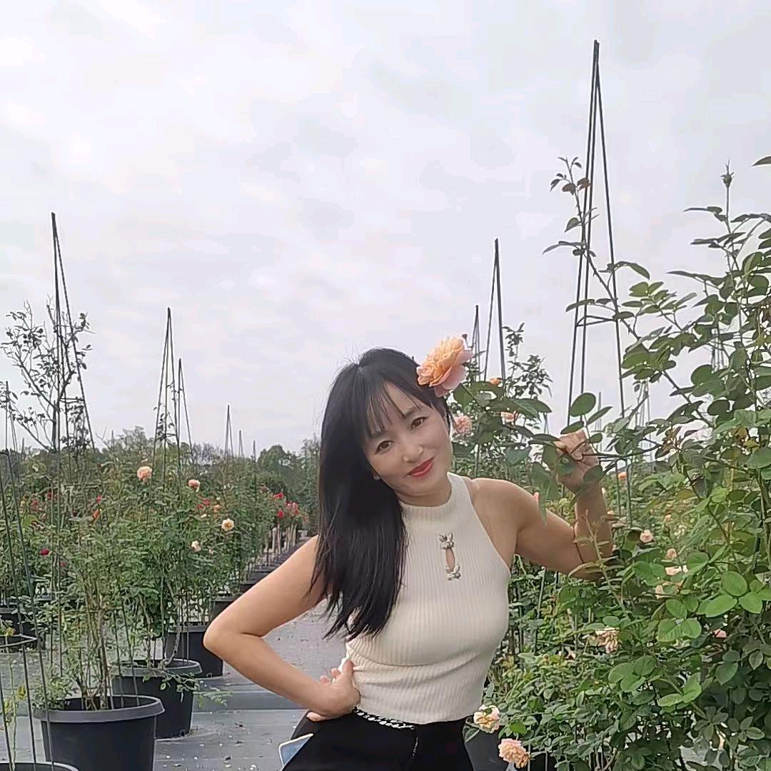 珊珊来迟