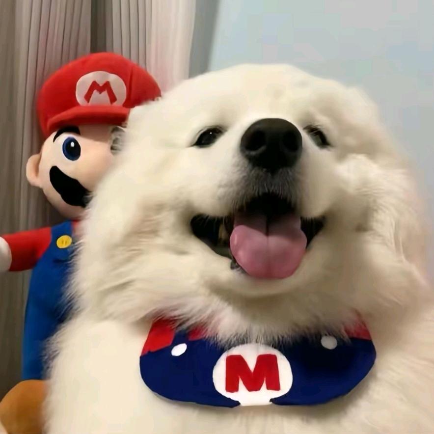 Soda（昀孟版）🍟