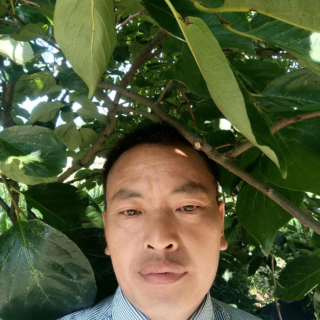 收到你的虚伪滚出我的世界