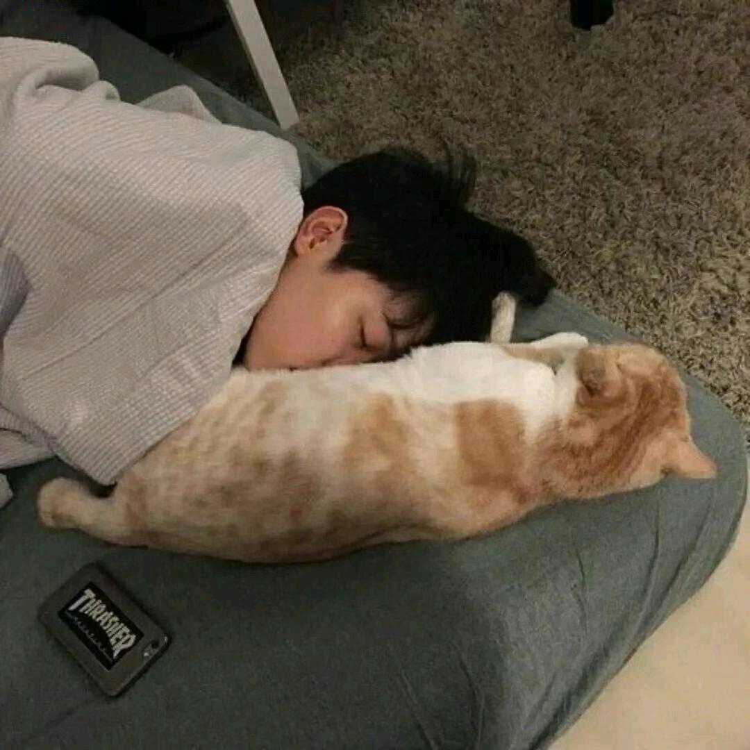 小赫羊羊