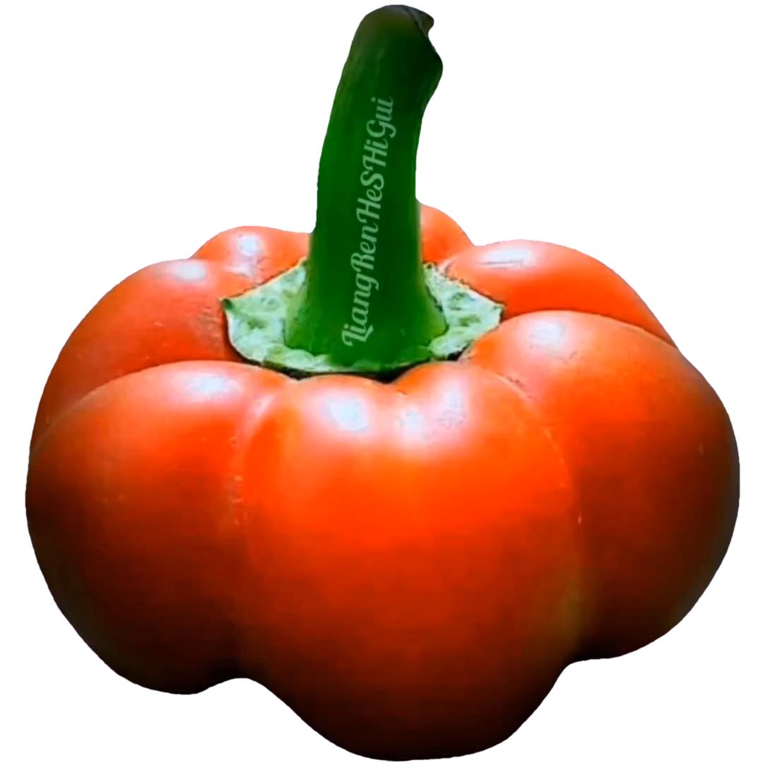 🍒良人何時歸🌶