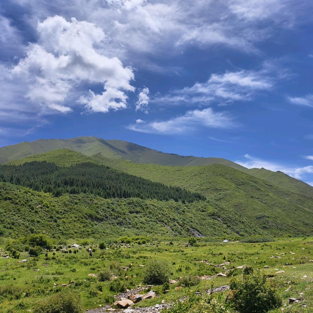 西北小白鼠养殖