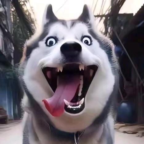 苍