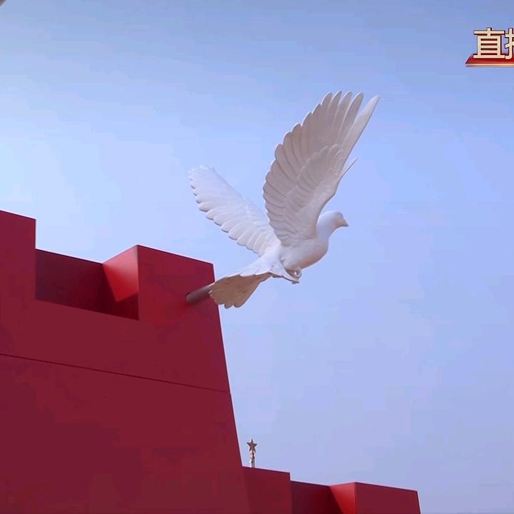 💕小💕财💕迷💕
