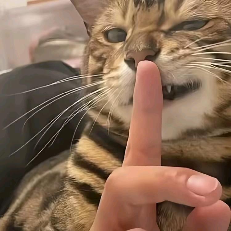 买辣条也用卷