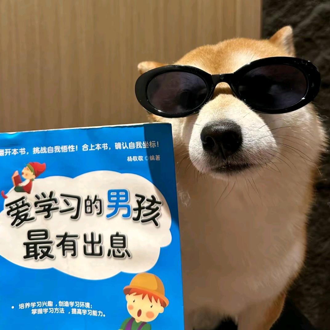 雅言单招罗老师