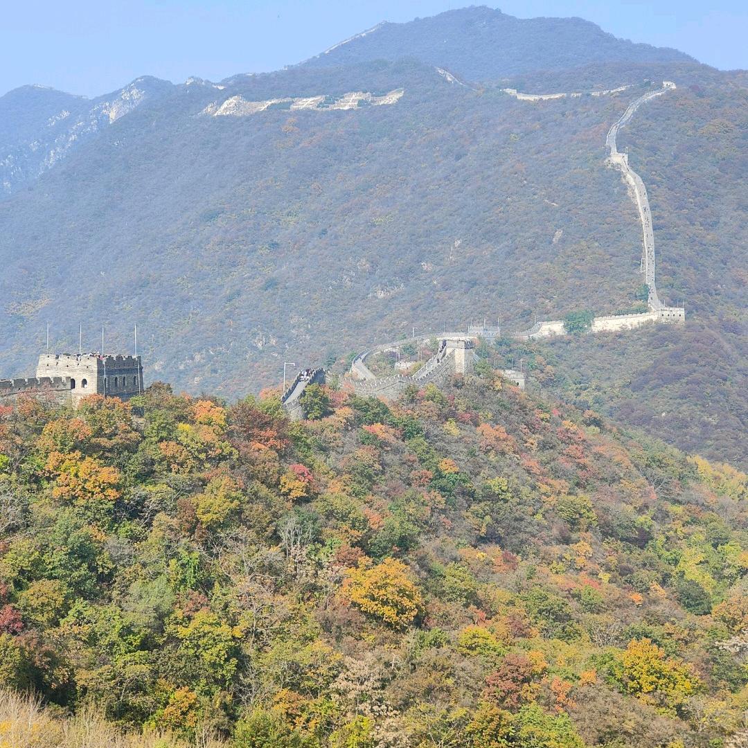 林中漫步