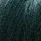 简简单单小叶子