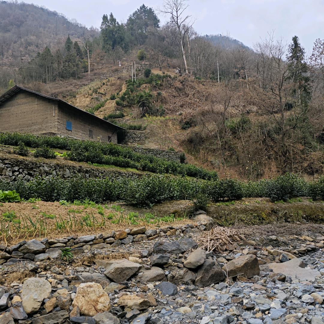 勾践小李