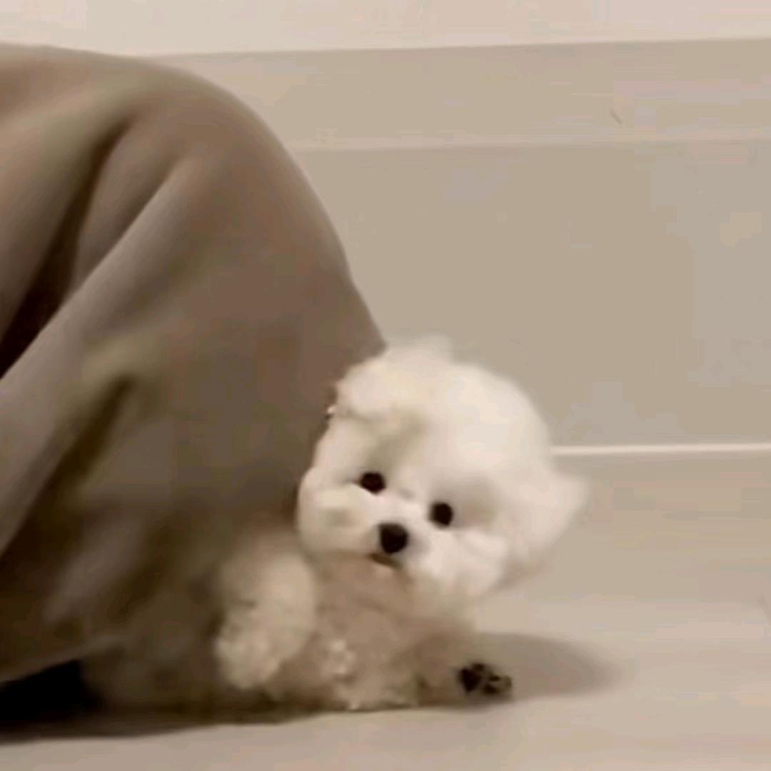 当归๑