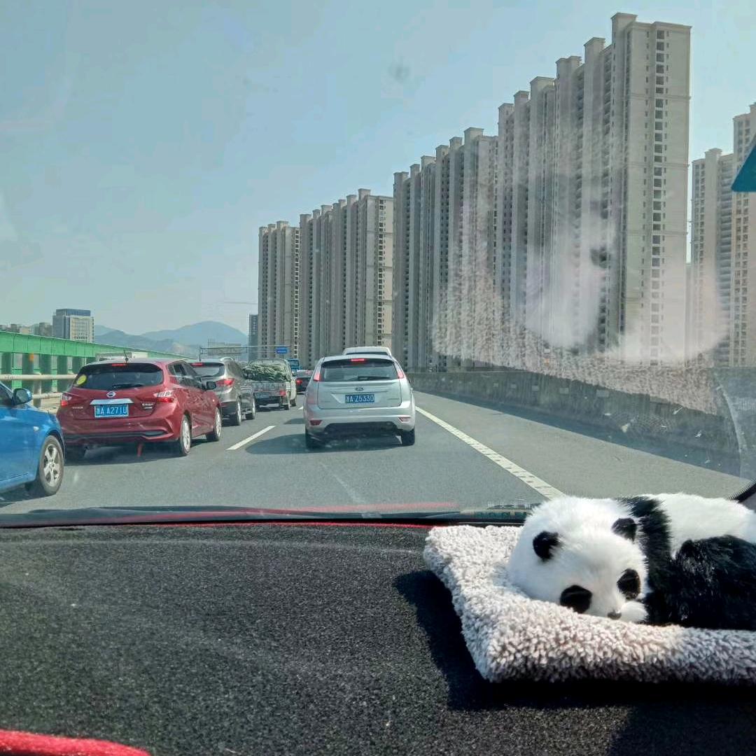 付尔国