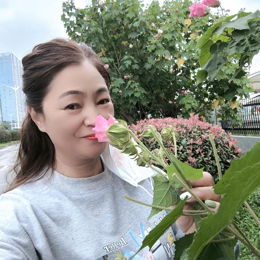 霞姐财富规划师