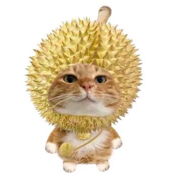 狐狸小姐