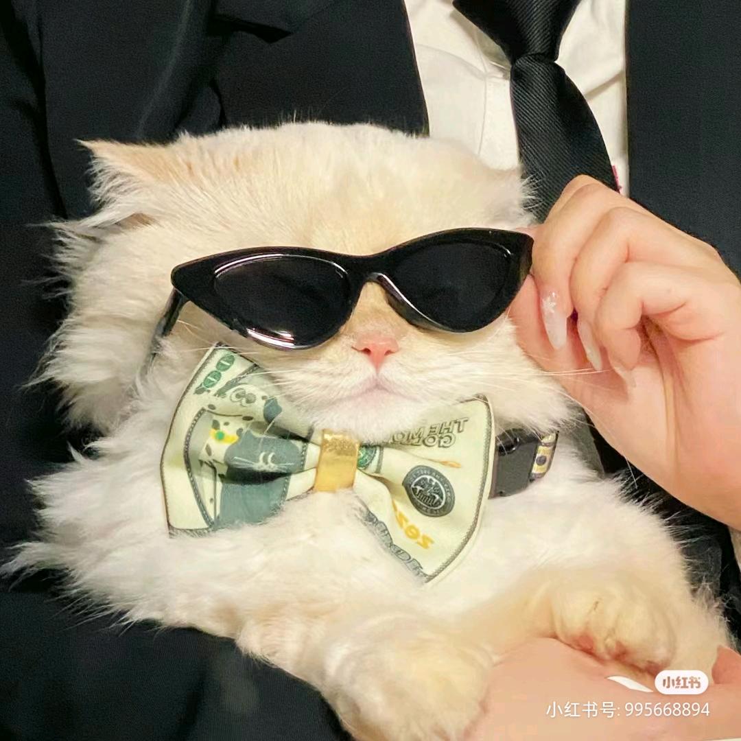 陌生人-剃头匠❤️