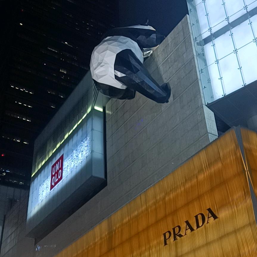 ᝰ᭄情迷意乱ᝰ᭄