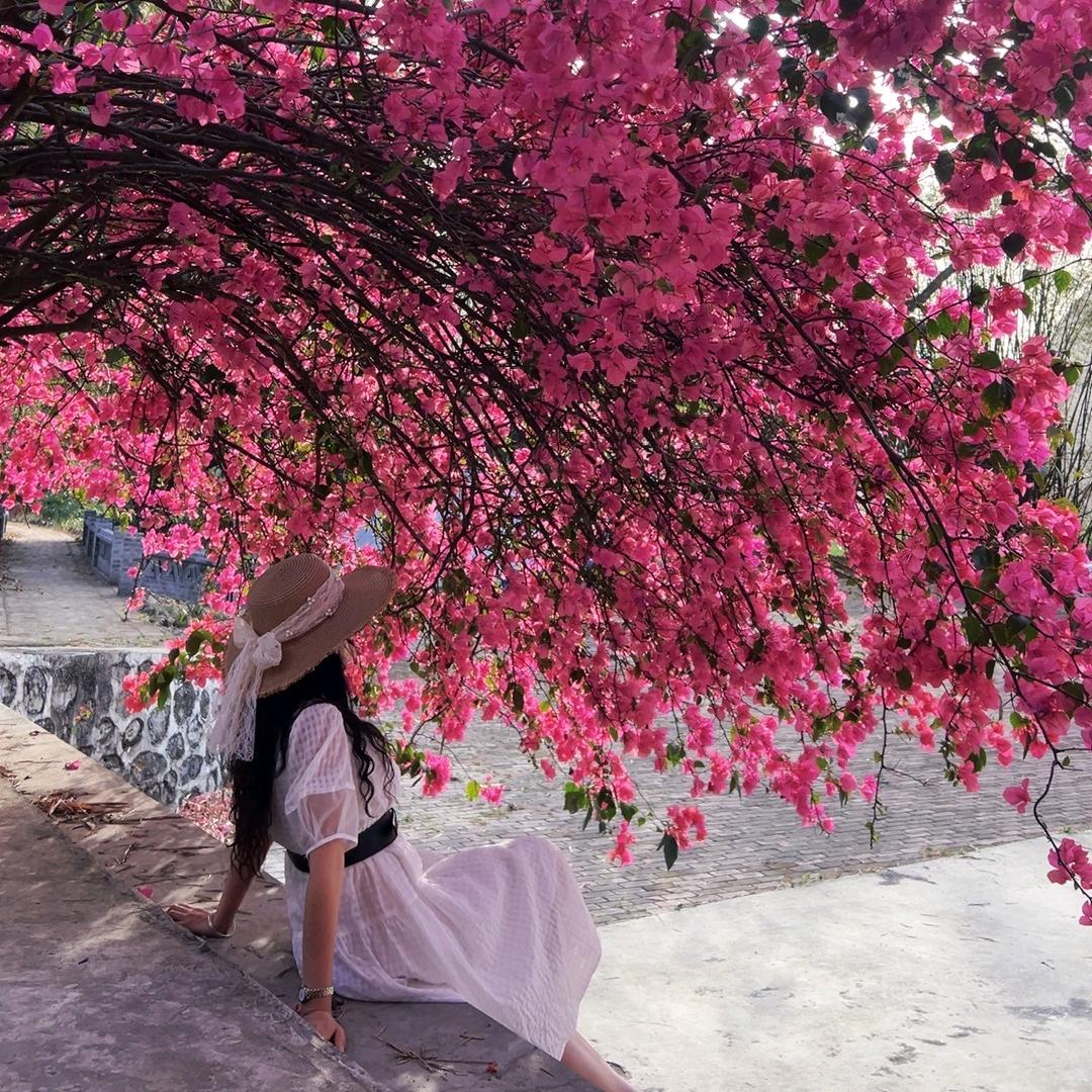 🌖月儿🌙⁵⁴³