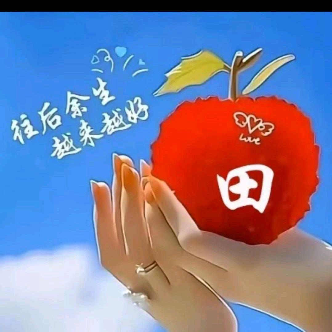 🐀田天好心秦🐀