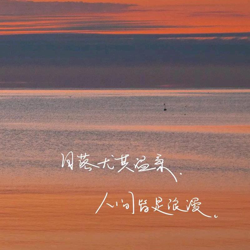 情感文案