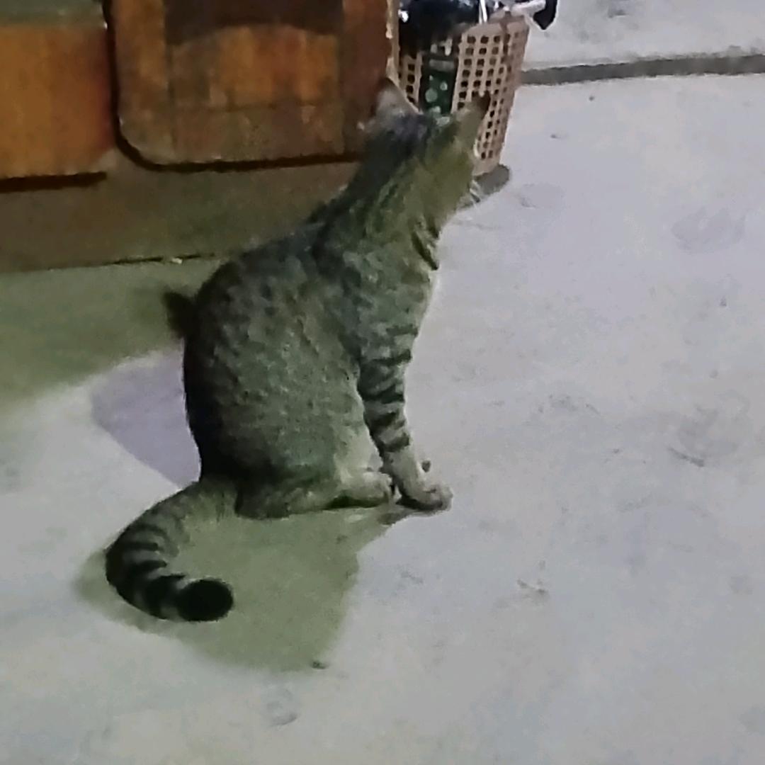 1点5@