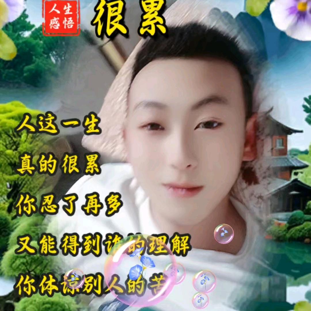 樱花之恋