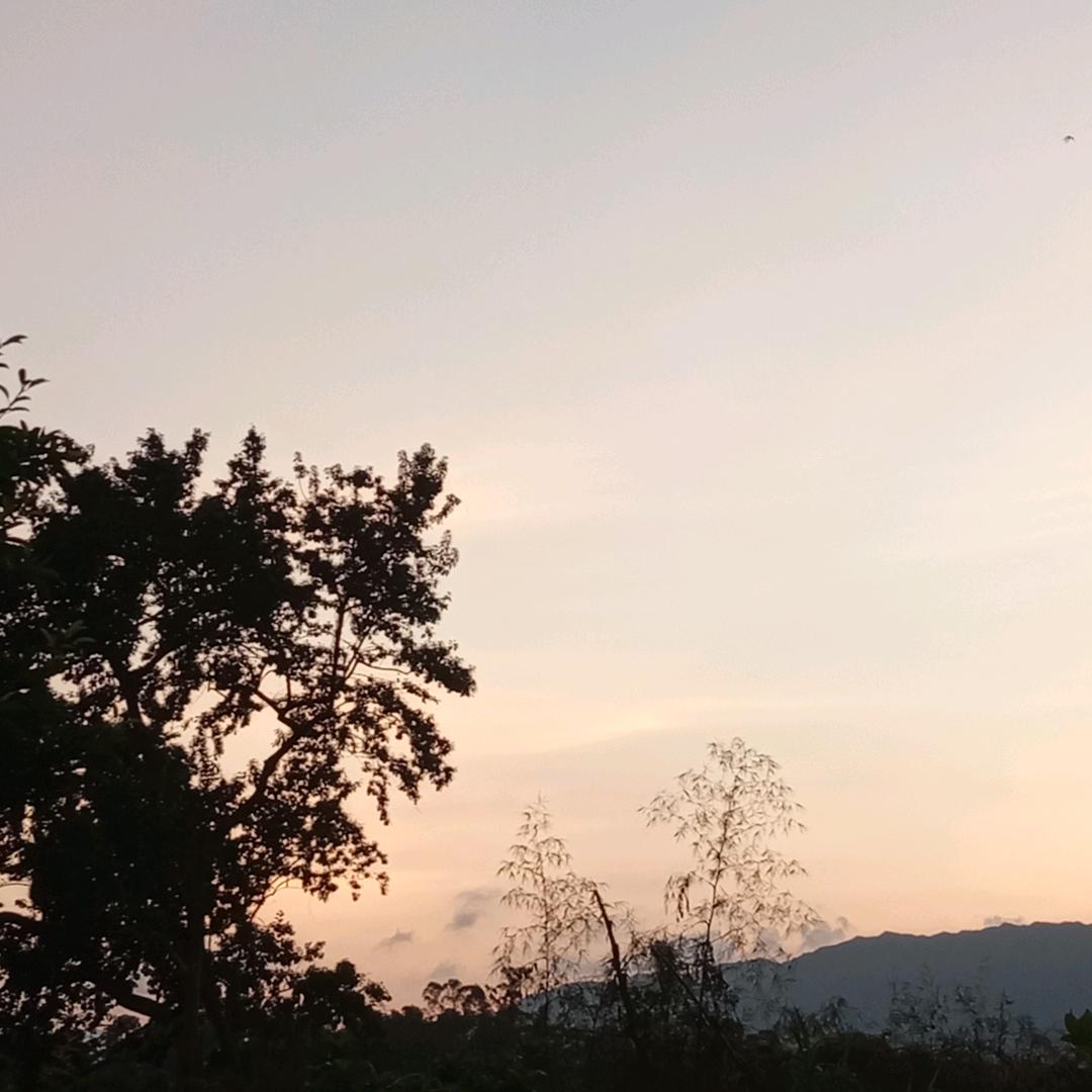 思钱想后