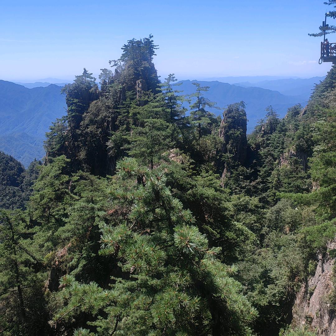 山水相逢是缘