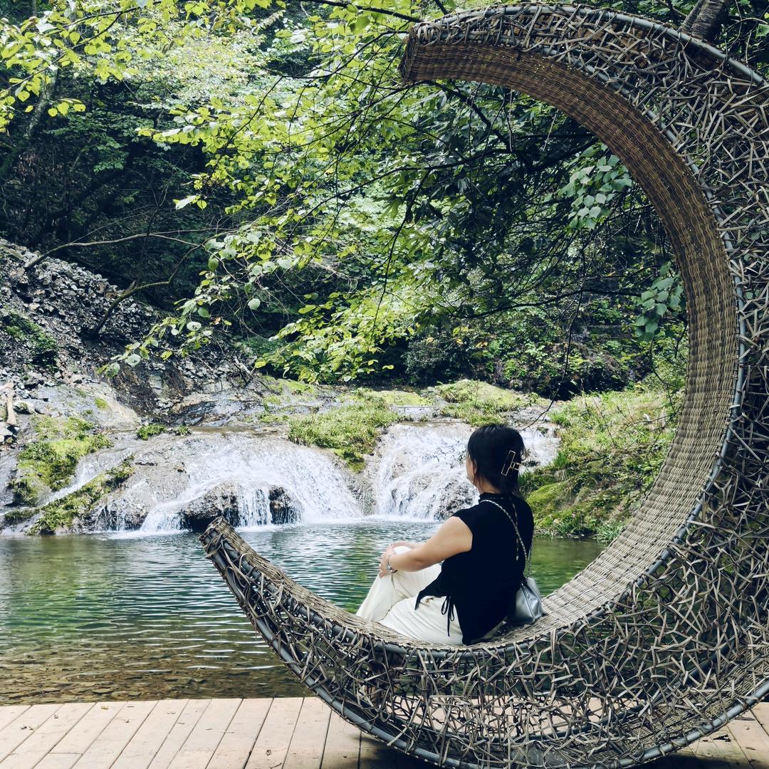 ฅ՞•ﻌ•՞巷子里的猫