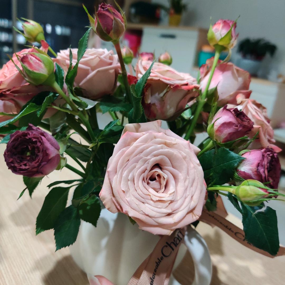 月芽儿